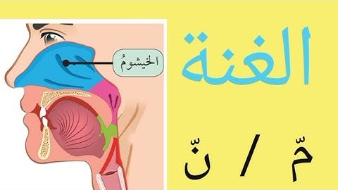 احكام التجويد للمبتدئين,الميم والنون  المشددتين !الغنة
