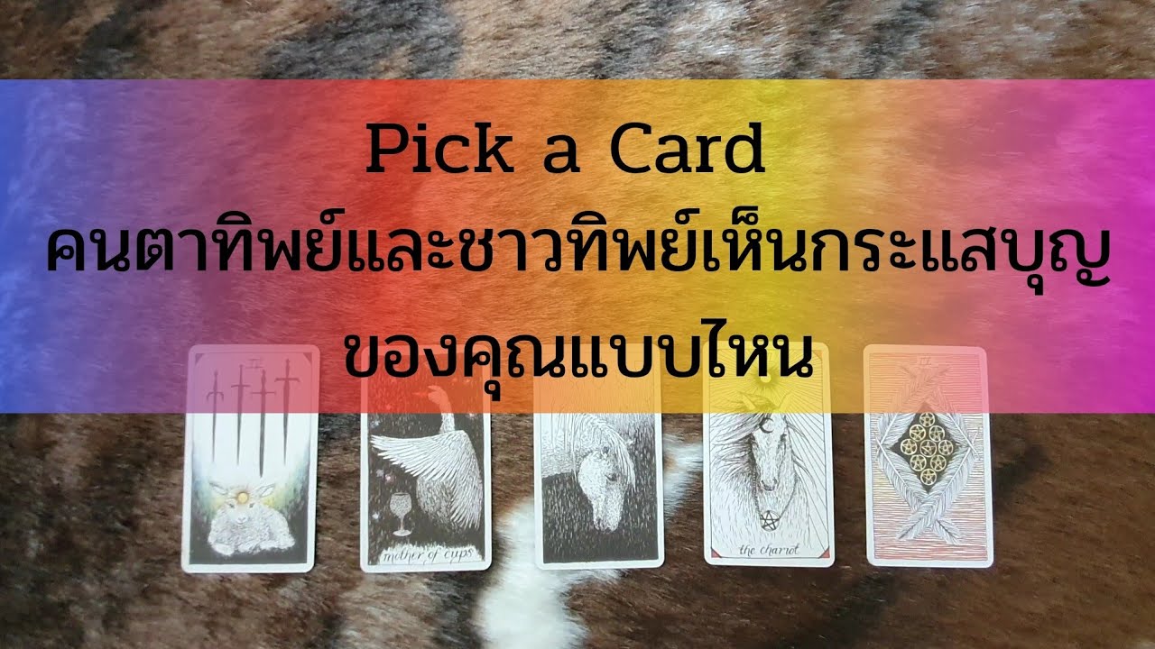 Pick a card คนตาทิพย์และชาวทิพย์เห็นกระแสบุญของคุณแบบไหน