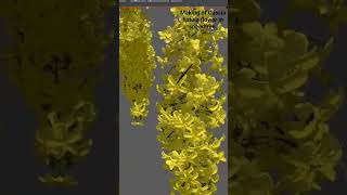 Making of cassia fistula flower in speedtree. #tree #blender #gaming #procedural #3d Net Worth