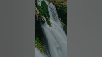 سورة الغاشية القارئ عبد الرحمن مسعد #اكسبلور #قرآن #المصحف