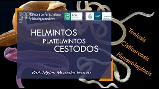 Helmintos-Platelmintos-CESTODES