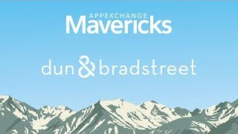 AppExchange Mavericks: Enrich Account and Lead Data with D&B Optimizer