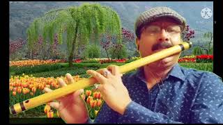 Tum Mujhe yoon Bhula Na Paoge || Flute Cover By Anil Kumar