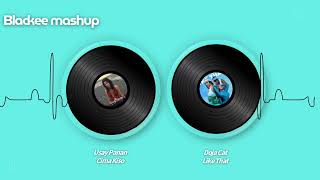 Cima kiso （你是誰） MashupLike that @dojacat  X Cima kiso @UsayPanan  -#美式 #阿美族 #mashup #原住民  #混音