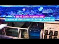 Reef tank nightmare  electrical meltdown  sump overhaul