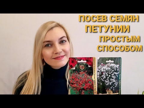 Алена цветаева ютуб дача