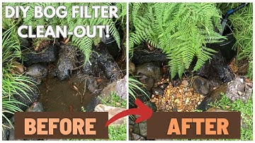 Cleaning/ Flushing a DIY BOG FILTER