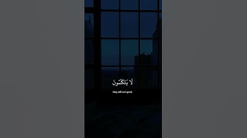 ﴿يَوْمَ يَقُومُ الرُّوحُ وَالْمَلَائِكَةُ صَفًّا ۖ لَّا يَتَكَلَّمُونَ﴾ سورة النبأ #قرآن #quran