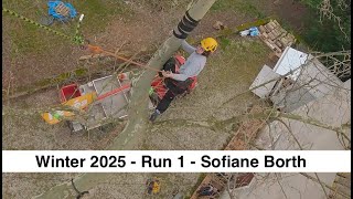 Treeclimbig - Winter 2025 - Run 1 - Sofiane Borth