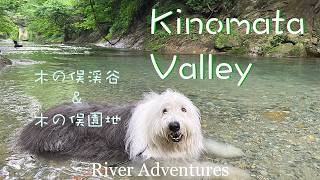 River Play at KINOMATA Valley | TOCHIGI (木の俣渓谷, 栃木) with My DOG