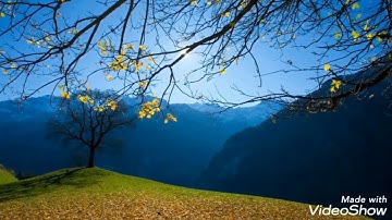 القران الكريم سورة ق كاملة القارئ عبدالعزيز الزهراني رائعة جداً جودة عالية