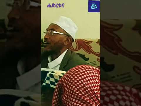ሸህ ሙሐመድ አወል ሀምዛ Sheh Mohamed Awol Hamza Shorts