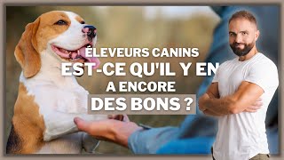 Éleveurs canins : estce qu'il y en a encore des bons ?