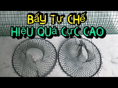 Video: Cách Làm Bẫy Cá Tự Làm