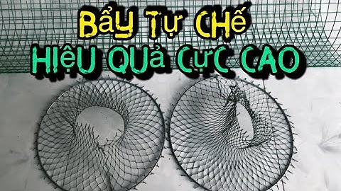 Cách Làm Ra Cái BẨY CÁ Hiệu Quả Cực Cao Dính Đủ Loại