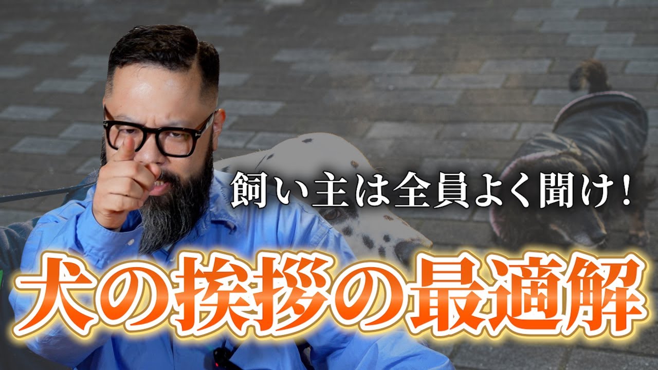 【犬のトラブル回避】飼い主全員が持っておくべき挨拶のマナーはこれだ！