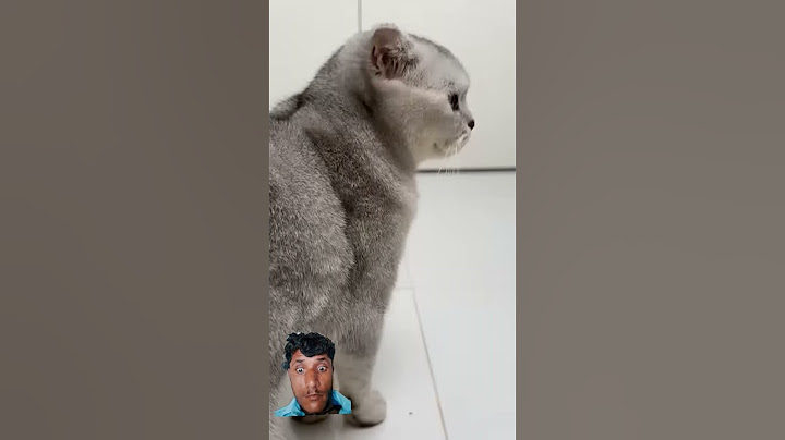 black magic by petkit pura max #cat #pets #funnycats #cats #sonyakisa8
