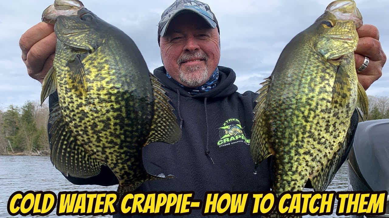 6 Ways to Catch More Crappie This Fall and Winter - Wired2Fish