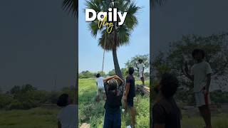 Mini Vlog | Daily Vlog 😍#youtubeshorts #tending #shortsfeed #vlog