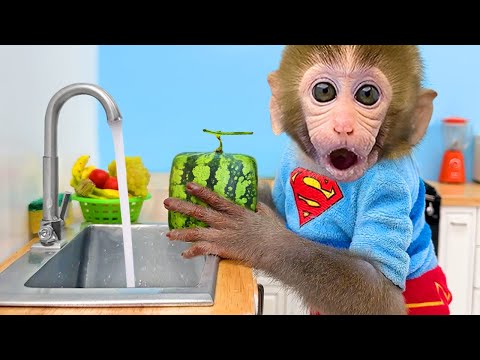 Monkey Baby Bon Bon bath in a bathtub with rainbow fish and play in the farm with ducklings