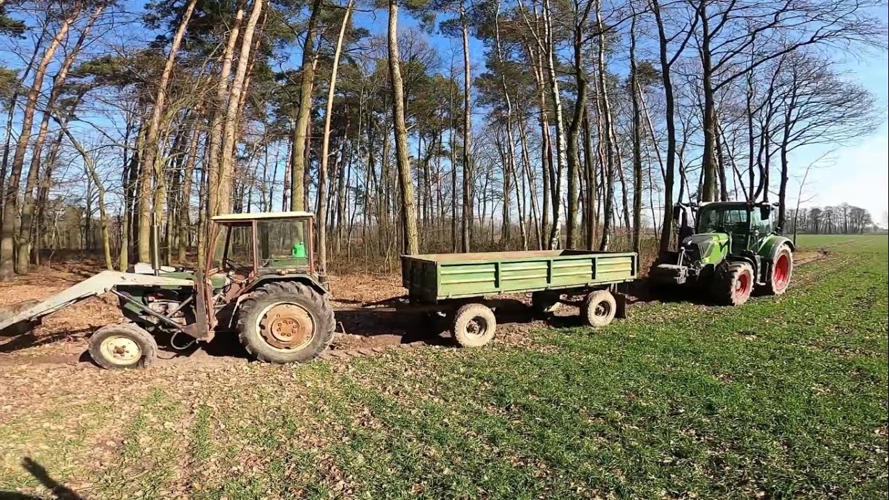 Praca zielonymi w lesie || Fendt i Ursus przy wyciąganiu drzew