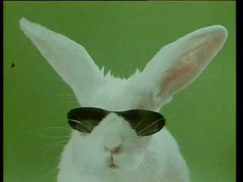 Cassegrain - Lapin (1985, France) - YouTube