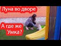 VLOG Найдите Умку. Магазин