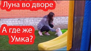 VLOG Найдите Умку. Магазин