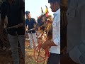 jalli kattu ✨🐂#jallikattu #jallikattukalai #jallikattusong #kaalai #trending #viral #pongal #tamil