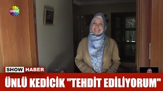 Ünlü kedicik \