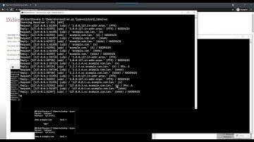 dnsresolver.py: 2 wildcard Command