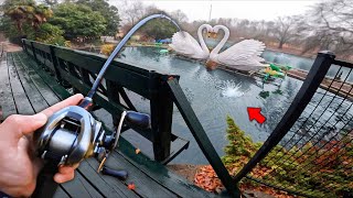 Fishing For 10lb Bass In AMUSEMENT PARK Ponds! (Bank Fishing)