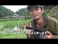 【アイディア水田除草機】実際に使ってみた感想