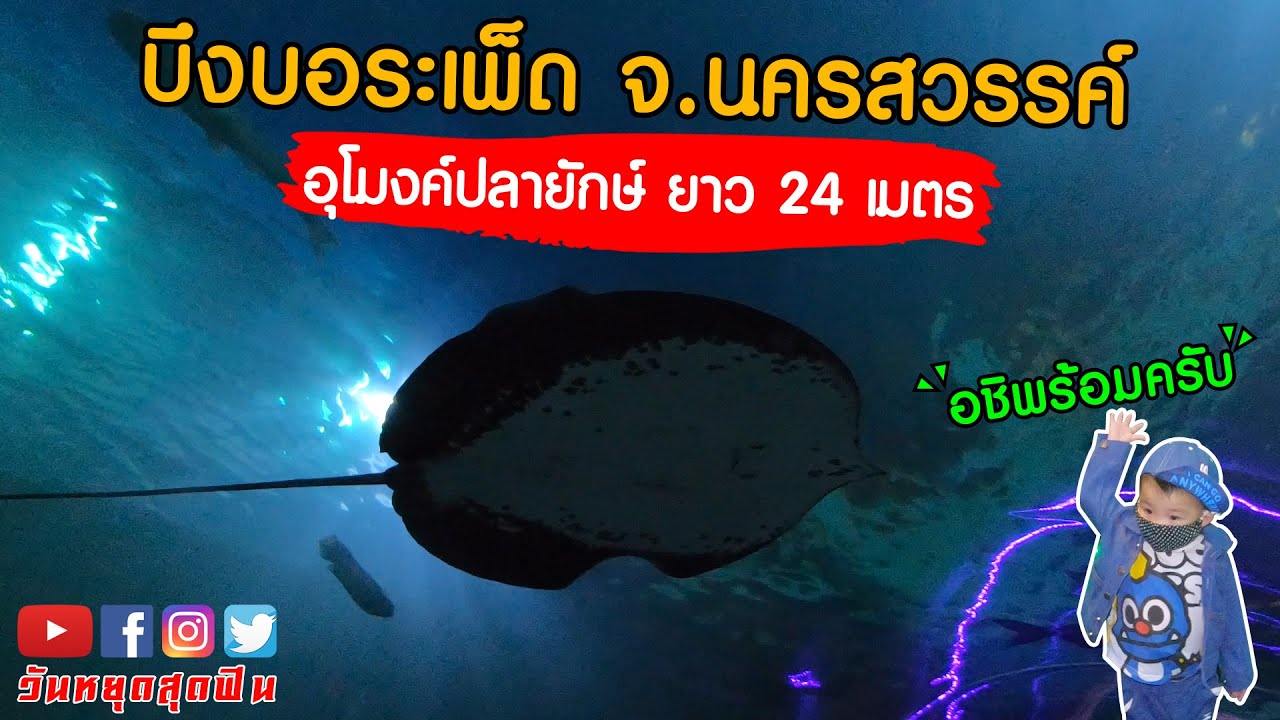 Aquarium 24 aquarium-24