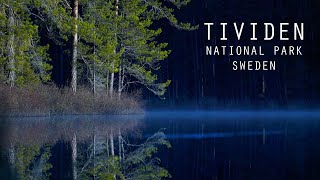 Spring hike in Tividen National Park, April 2024