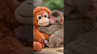 #song #newsong #funny #forest