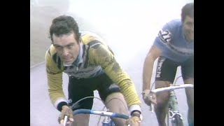 Portrait du champion cycliste français Bernard Hinault (1986)