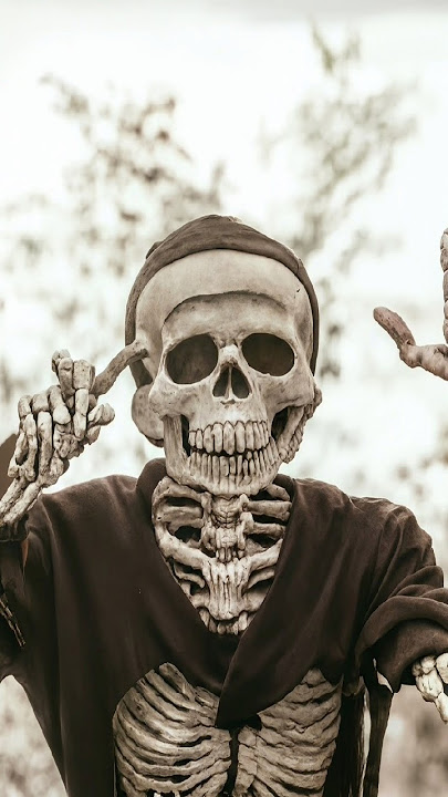 Tengkorak seram 😲⁉️