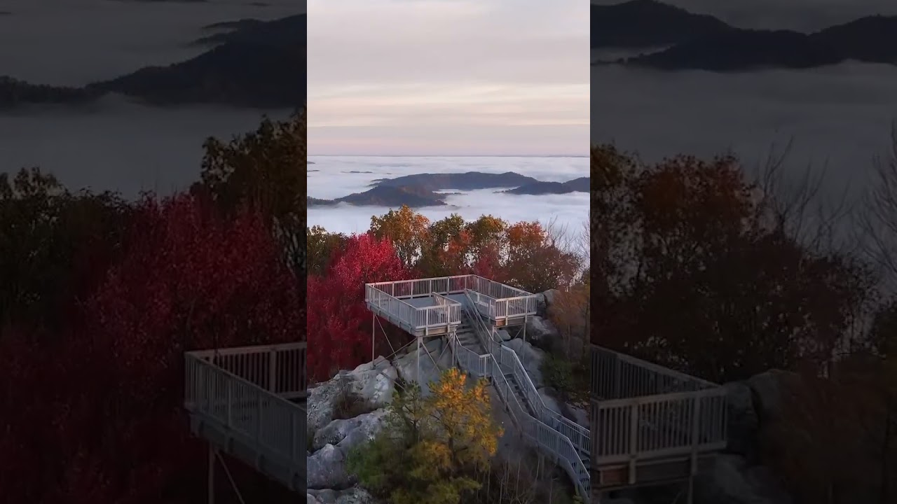 Drone view over the fall foliage and morning fog at the Birch Knob Observation Tower!
