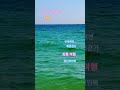 먹다tv #그대만나려갑니다 #이찬원 #강릉여행 #안목바다 #안목해변 #해변산책 #맨발걷기 #해변걷기 #kpop #shorts