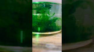 Watching colours dance and dissolve in water 💚#timelapse #colors