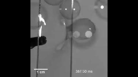 Bubble blowing by the numbers - blowing a bubble