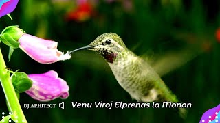 Dj Arhitect – Venu Viroj Elprenas la Monon (ESPERANTO Music Selection REMIX)