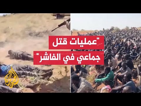 هيئات أكاديمية تشير إلى وجود عمليات قتل جماعي في الفاشر بعد دخول قوات الدعم السريع