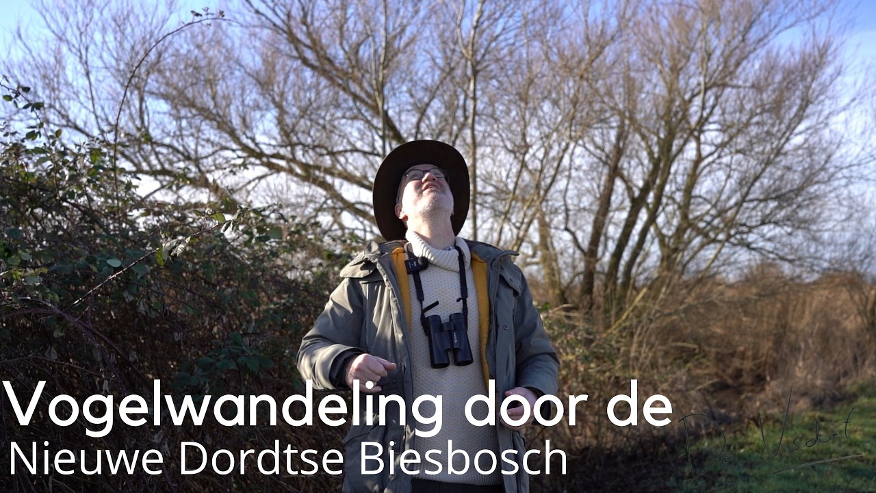 Vogelwandeling door de Nieuwe Dordtse Biesbosch #1722