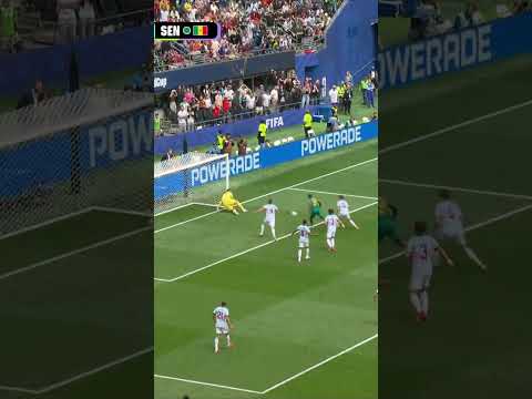 Belgowie Mają Kłopoty. Lwy Terangi z Golem #fifaworldcuponyt #shorts