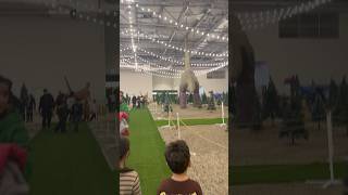 Gi̇deli̇m Di̇nozoru Bulmaya