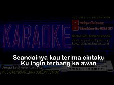 KARAOKE BUNGA EDELWEIS LIRIK MUSIC KEYBOARD KN7000 BY KARAOKE BUNGA EDELWEIS LIRIK MUSIC KEYBOARD KN7000 BY
