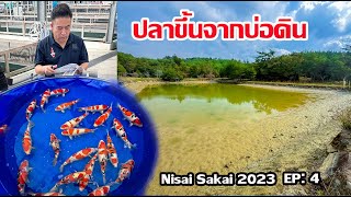 Sakai Nisai 2023 Ep:4 Visit the clay pond, explore Sakai, Day 3, Hiroshima Japan