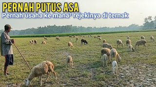 Download Lagu Siapa Sangka, Rejekinya Ngalir Dari Ternak Setelah Bersabar Dengan Segala Ujian MP3 Download Lagu Siapa Sangka, Rejekinya Ngalir Dari Ternak Setelah Bersabar Dengan Segala Ujian MP3